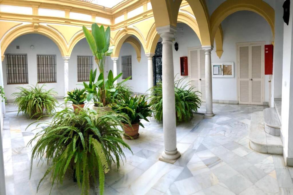 Gatu Villa Palma, Aire Acc Y Confort En El Centro Historico, " Preferente Mayores De 25 Anos Y Familias " El Puerto de Santa María Extérieur photo